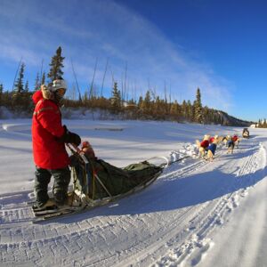 sled dog tours canada