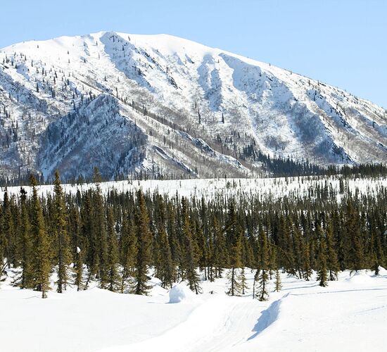 Brooks Range Husky Expedition © alaska winter adventures
