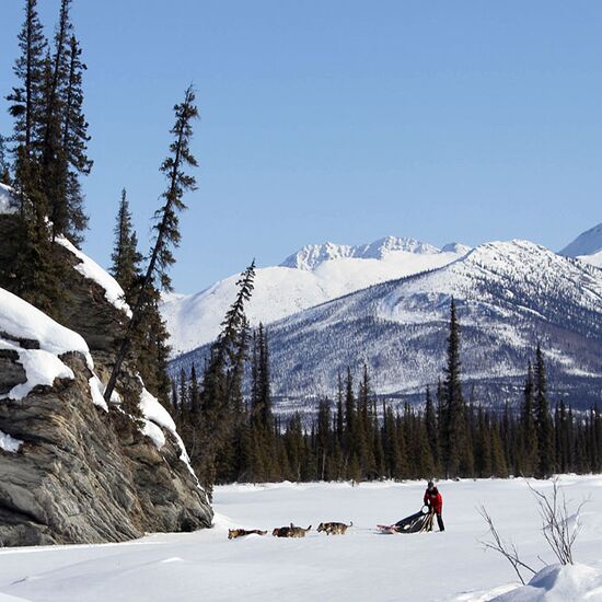 Brooks Range Husky Expedition