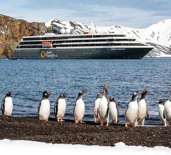 World Explorer © ship world explorer