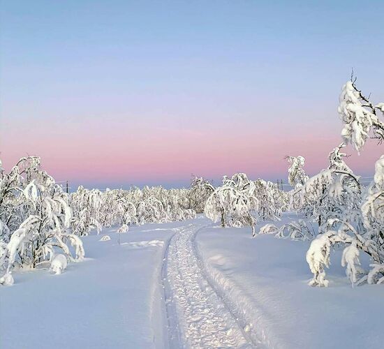 Winterabenteuer in Lappland © adventure lapland