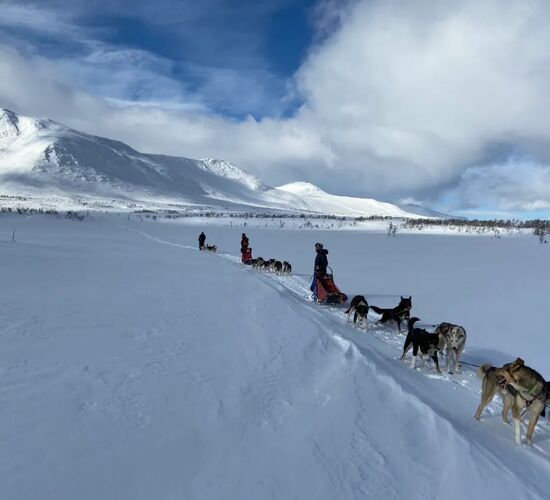 Hundeschlittenexpedition in den White Mountains Alaskas © alaska wilderness adventures