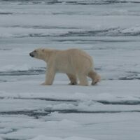 © Nordspitzbergen