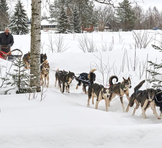 © brandon pinebay lodge