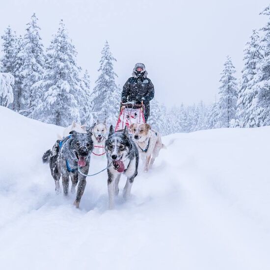 Privater Winterurlaub in Schweden
