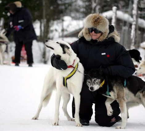 Bilder (67) Huskykompaniet