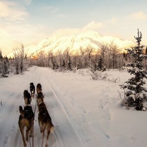Wonderful Winter Experience in the Yukon
