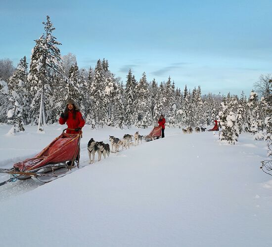 Bilder (39) Aurora Borealis Adventure