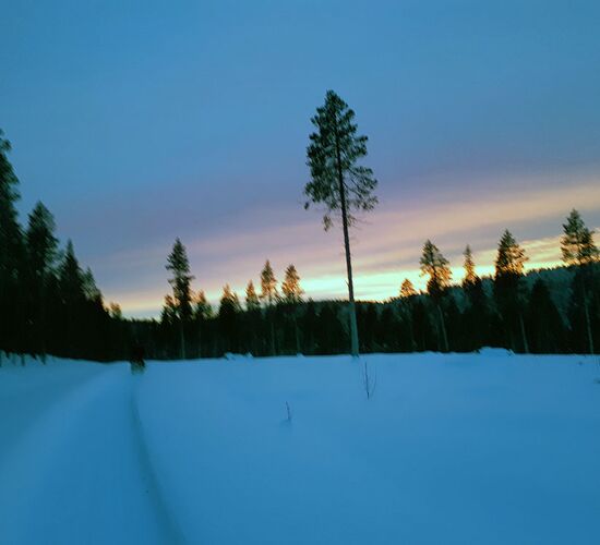 Bilder (39) Aurora Borealis Adventure