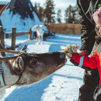 © apukka resort