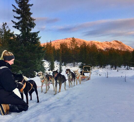 Winterwoche mit Huskys in atemberaubender Natur © whitehorizon