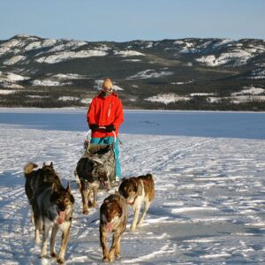 sled dog tours canada