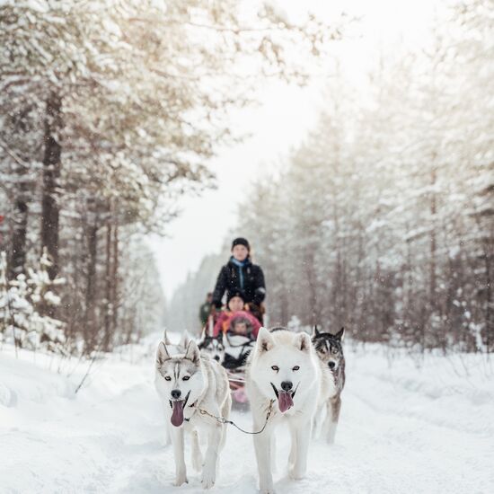 Weihnachtsabenteuer in Schwedisch Lappland