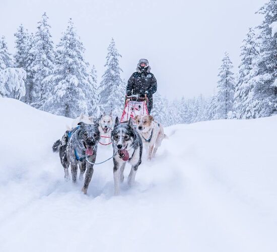 Private Winter Holiday in Sweden