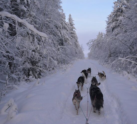 Bilder (25) Lapplands Drag