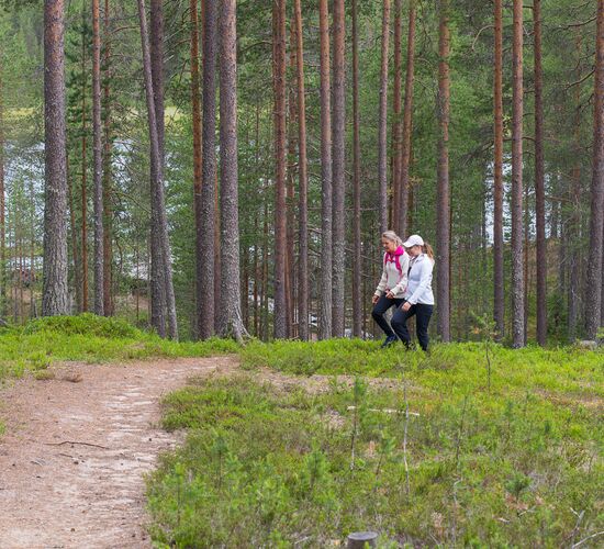 Husky Wanderung Finnland