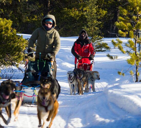Huskyreise in den Yukon © winter