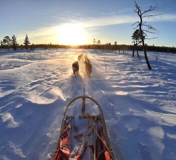 © Trails of Lapland