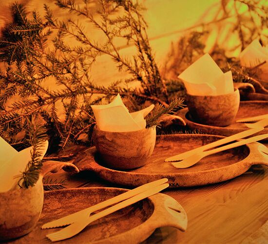 Nordlicht-Kurzurlaub © apukka resort