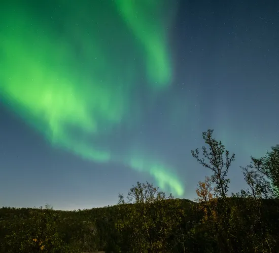 Weihnachts- und Silvesterspezial mit Huskys und Rentieren © autumn colors of swedish lapland