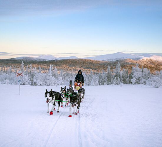 Winter week on a dogsled © taikuri