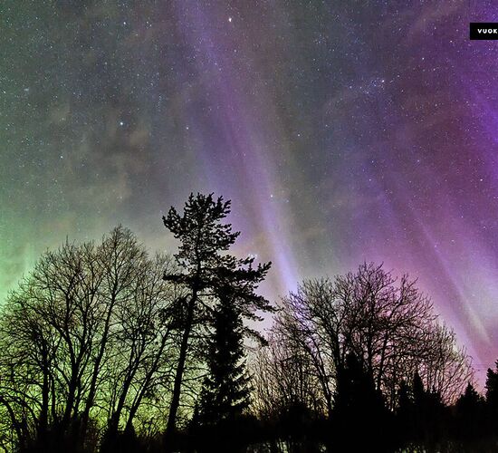 Winterurlaub Finnland © vuokatti