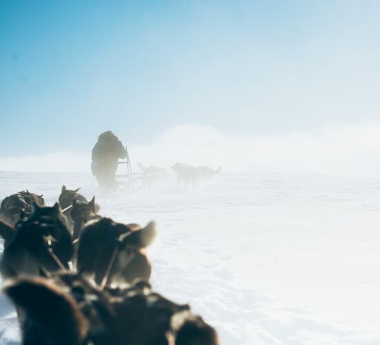 Alta 4 Day Experience © holmenhundecenter