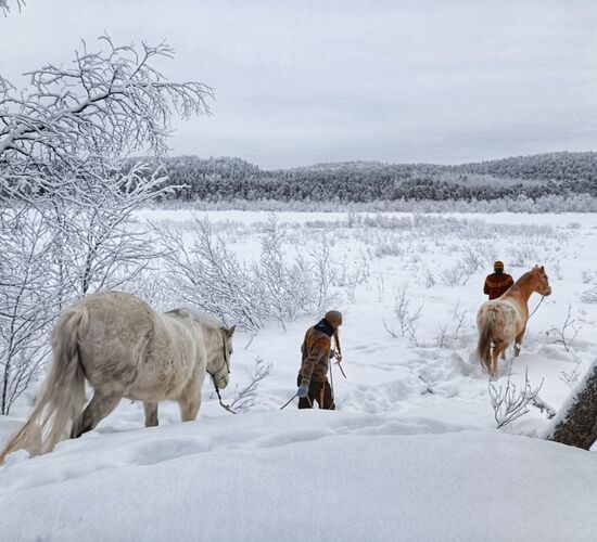 Anspruchsvolles Reiterabenteuer in Lappland © wilderness huskies siperia