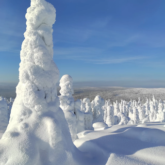 © hikesntrails