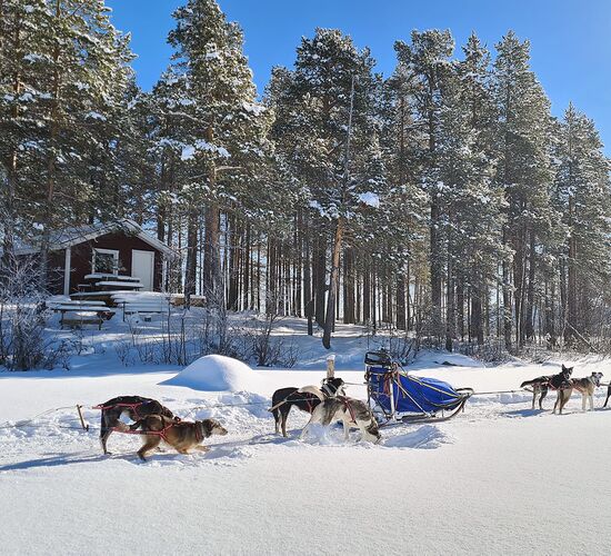 Swedish Winter Week of Adventure and Relaxation © grano beckasin