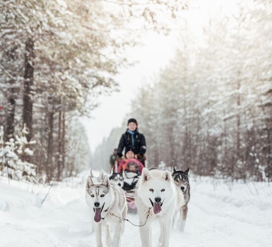 Christmas adventure in Swedish Lapland