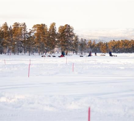 Bilder (39) Snötroll