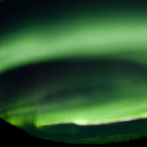 Winter Adventures in the Yukon
