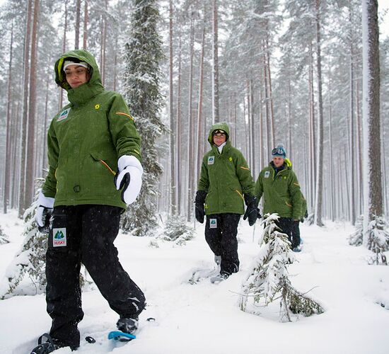 Aurora snowshoe hike © grano beckasin