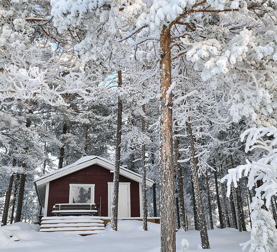 Swedish Winter Week of Adventure and Relaxation © grano beckasin