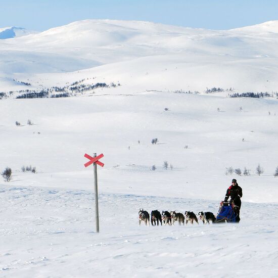 Next Level Husky Adventure