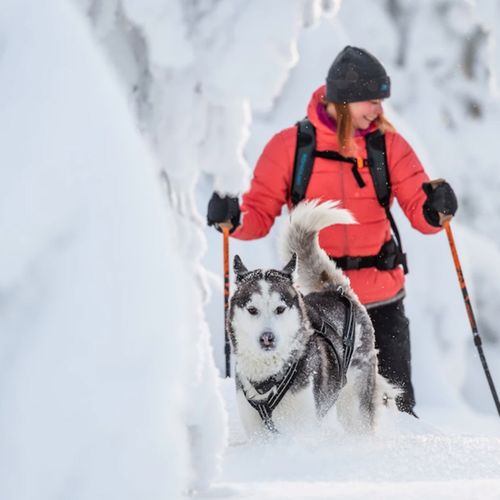Finnische Winterwoche auf Schneeschuhen © hikesntrails