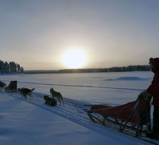 Bilder (39) Aurora Borealis Adventure
