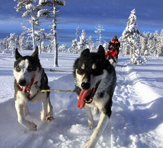 © Trails of Lapland