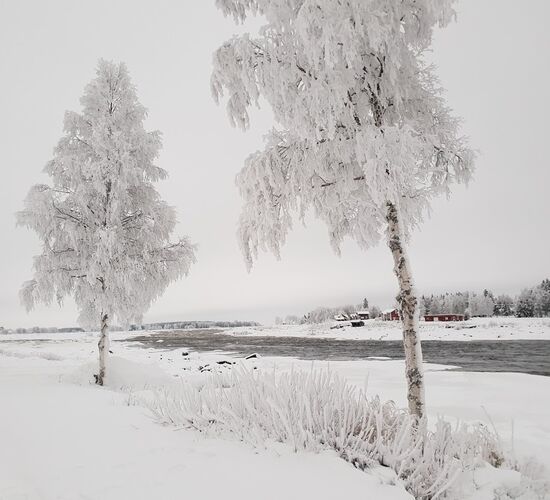 Bilder (144) Kukkolaforsen