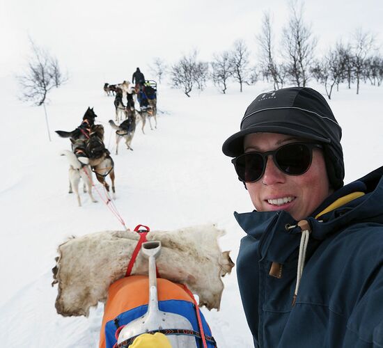 Winterwoche mit Huskys in atemberaubender Natur © whitehorizon