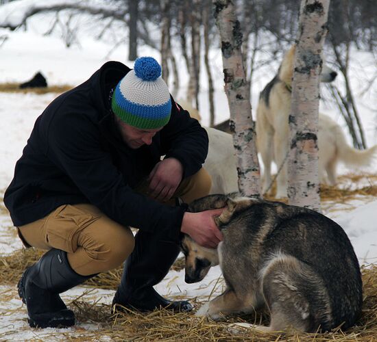 Bilder (67) Huskykompaniet