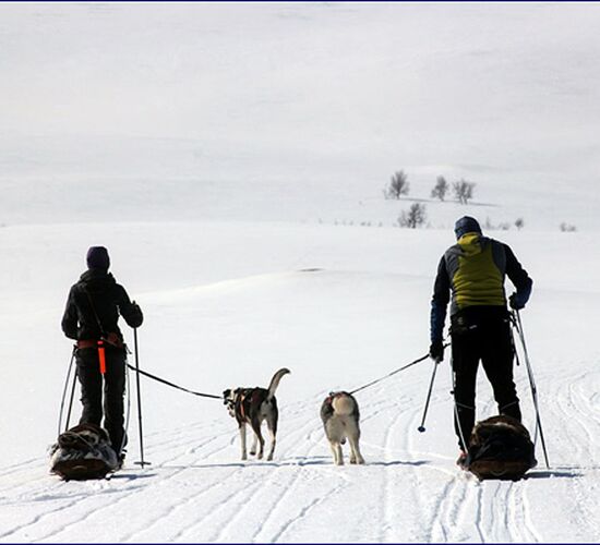 Fjälltour durch Lapplands Wildnis © Huskycamp Gasa