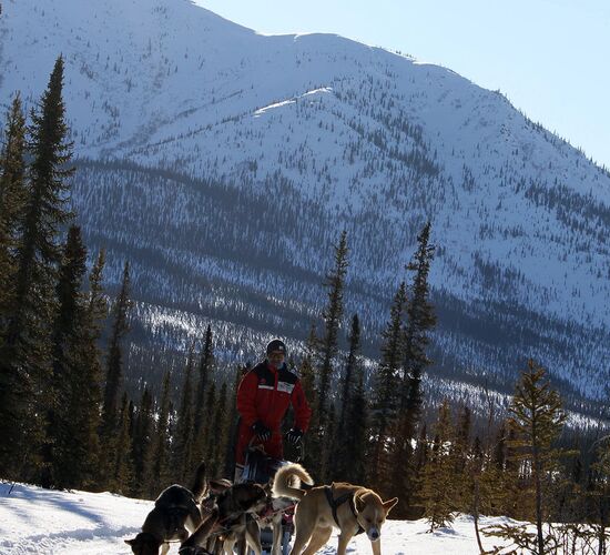Brooks Range Husky Expedition © alaska winter adventures