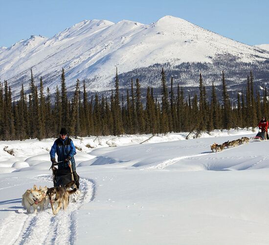 Brooks Range Husky Expedition © alaska winter adventures