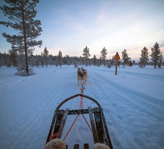 Northern Lights with Direct Flight © Harriniva Hotels & Safaris