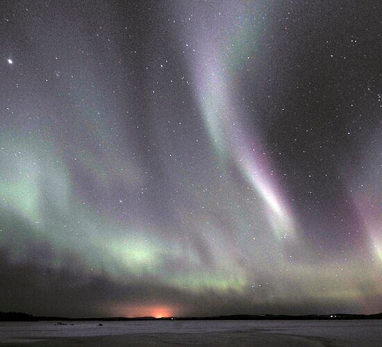 Wilderness sled dog tour Finland © vuokatti