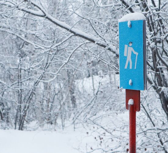 Winter Nature Hike