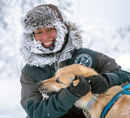Weihnachts- und Silvesterspezial mit Huskys und Rentieren © frosty trails