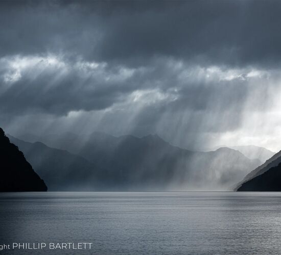 Bilder (46) Capture New Zealand